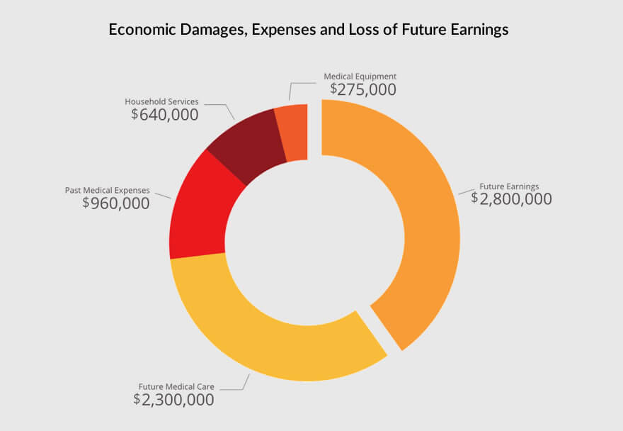 Economic Damages for Catastrophic Injuries 